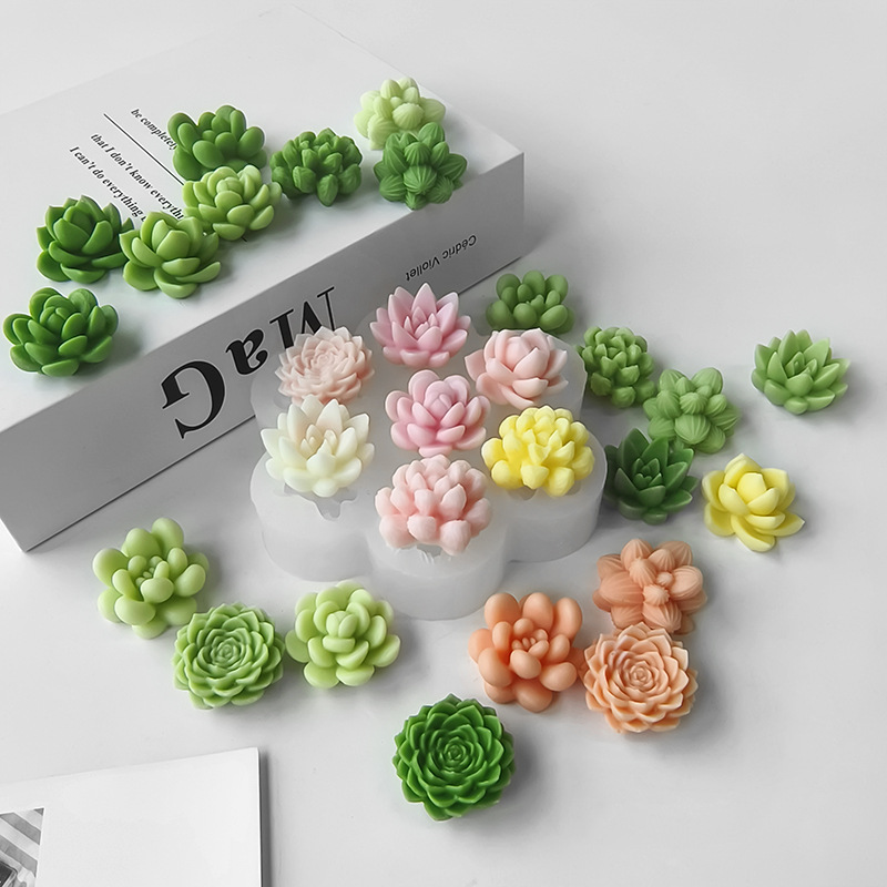 7 In1 Succulent Cactus Silicon - đánh giá và giá Soap Making At Home